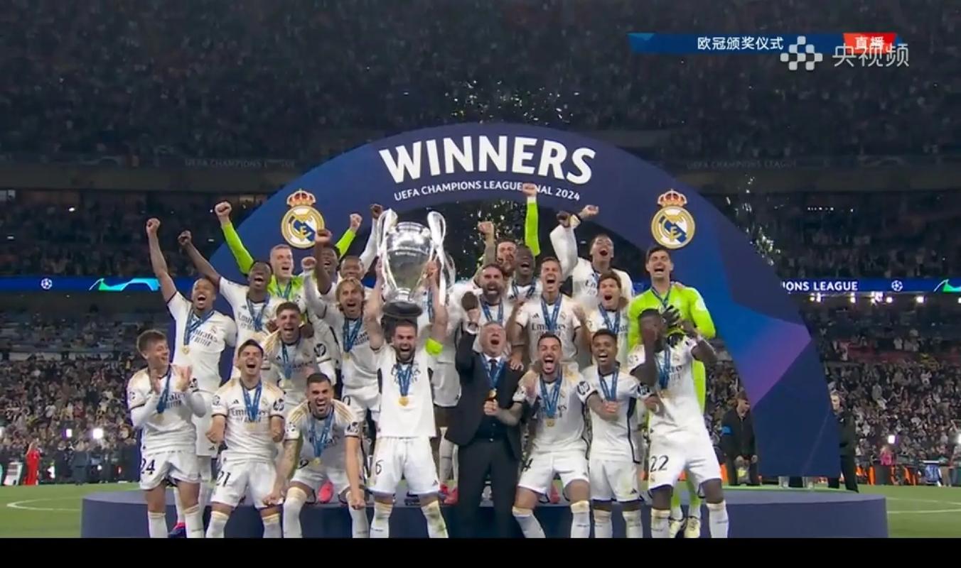 《独立联盟：被主流棒球遗忘角落里的梦想与汗水》